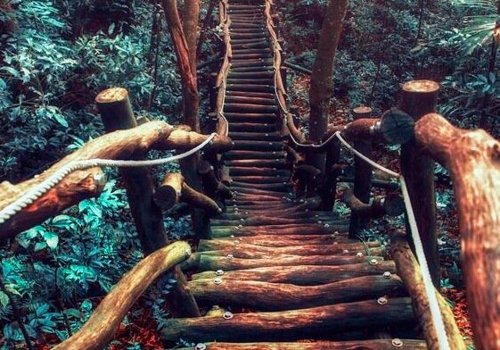 Move and the Right Life Path Will Appear - Exploring your mind