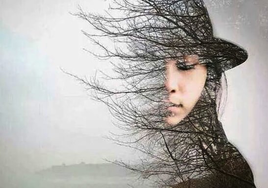 silhouette of girl and woods