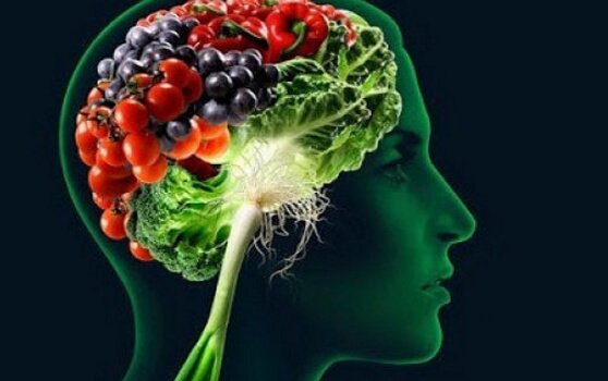 foods that improve your memory brain