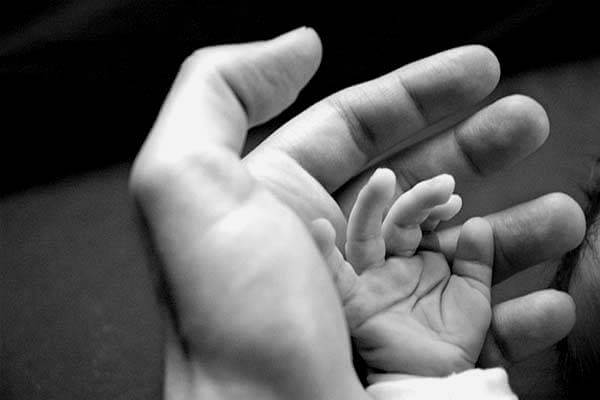 Attachment theory parent child