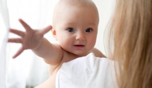 Harlow's Experiments on Attachment Theory