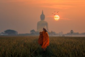 The Poisoned Arrow: A Buddhist Story about Living in the Present
