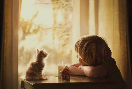 child and cat looking out window