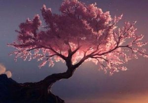 Cleansing Kinds of Trees, According to the Tao