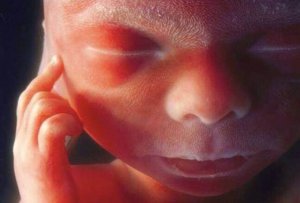 Never-Before-Seen Images of Fetal Brain Activity