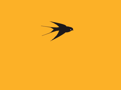 gif of a flying, transforming bird