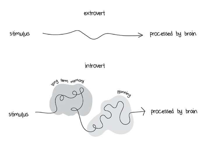 Introverts versus extroverts