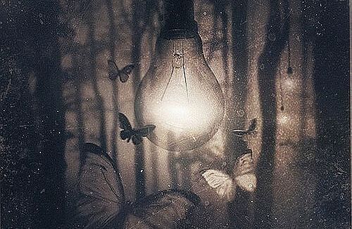 The light-bulb is being surrounded by many butterflies.