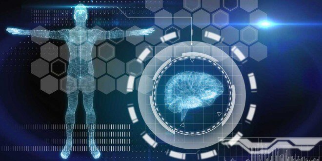 melatonin promotes sleep and youthfulness