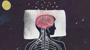 Melatonin Promotes Sleep and Youthfulness