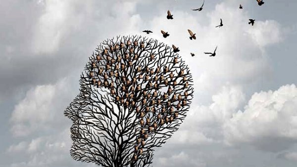 profile of a face made out of birds in a tree