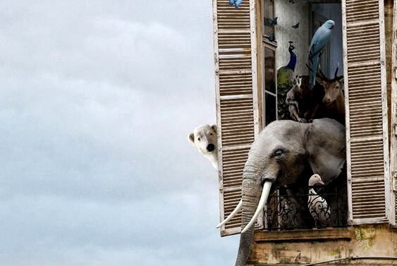 psychological poison at home