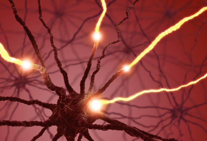 The Pleasure Hormone Serotonin and How It Affects Your Body