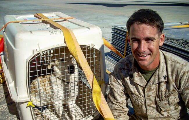 A young soldier rescues a dog from war.