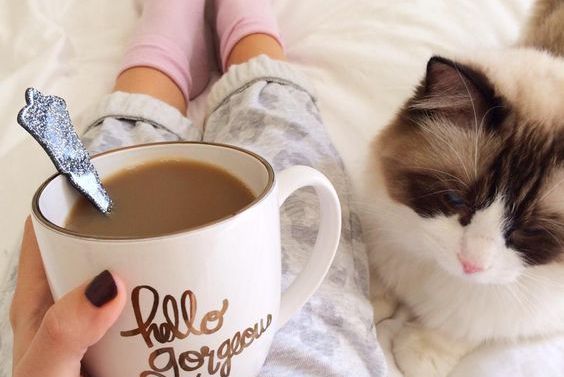 A woman drinking some coffee next to her pet cat.