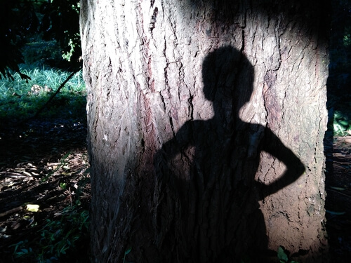 shadow of a boy on a tree
