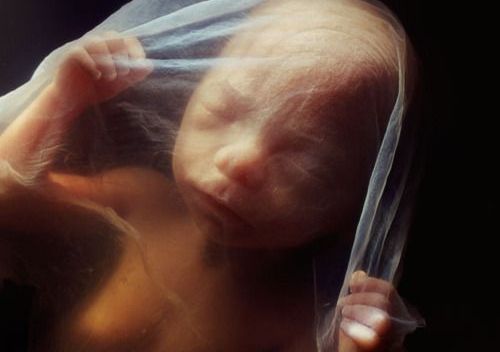 a baby before birth