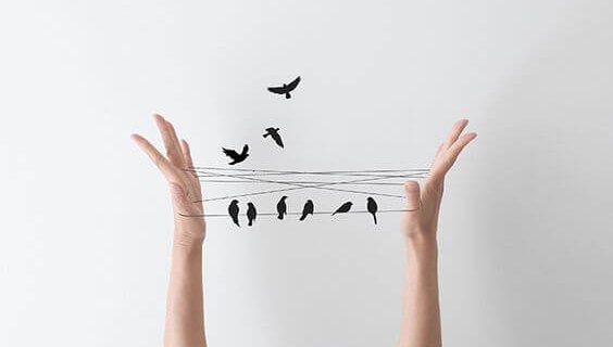 birds on a line