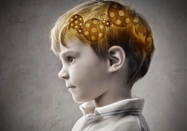 Gears working in a child's brain.