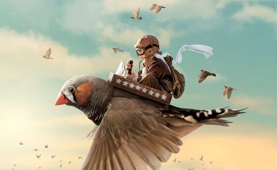 a child pilot on a giant bird