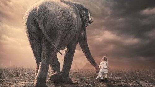 time flies elephant