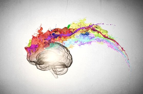 a painted brain