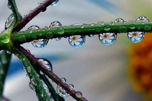 kindness is good for the brain