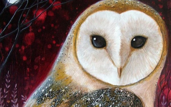 dignity in the animal kingdom