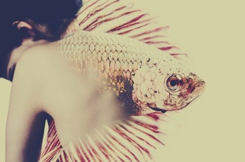 facing the consequences face