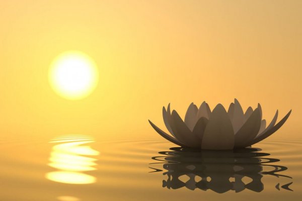 mindfulness, peace and tranquility