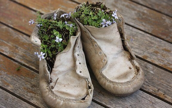 flowers growing in a pair of children's shoes