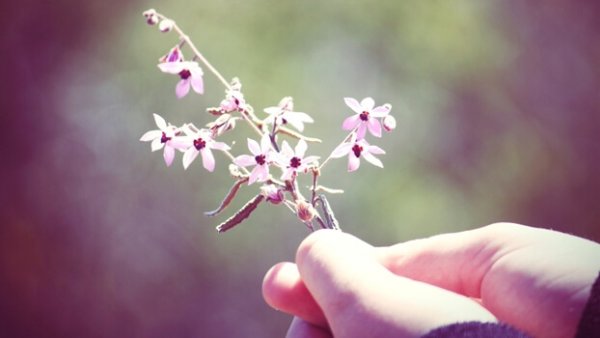 Kindness is Good for the Brain