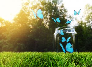 The Happiness Bottle Technique: How to Do It and Why It Works