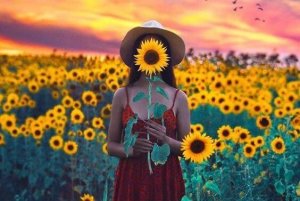 What Makes Us Happy: A 76-Year Study