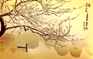 Haiku to Free Your Emotions