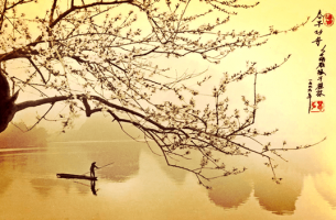 haiku to free your emotions