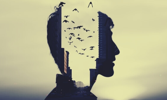 a man's profile with birds flying out of his head