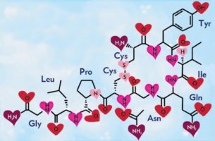 the chemical structure of oxytocin