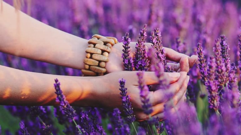 Violets: perceiving from the heart.