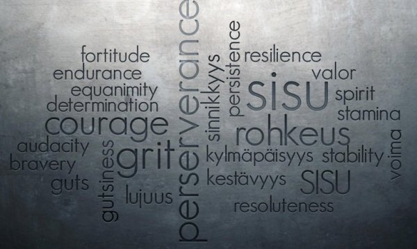 Sisu: perserverence, grit, courage, fortitude