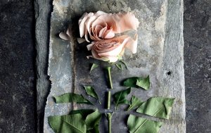 Passive violence: deep wounds that look superficial