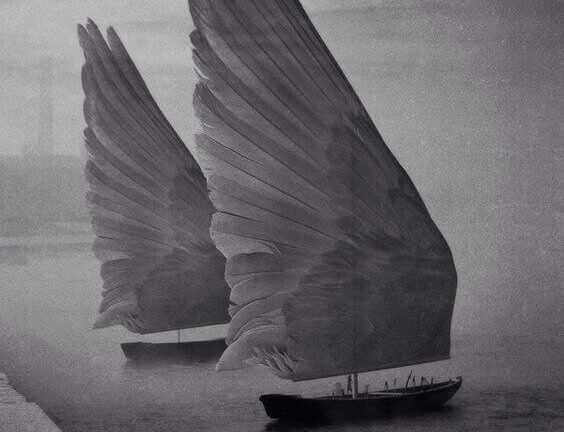 two ships with feather sails: don't miss me