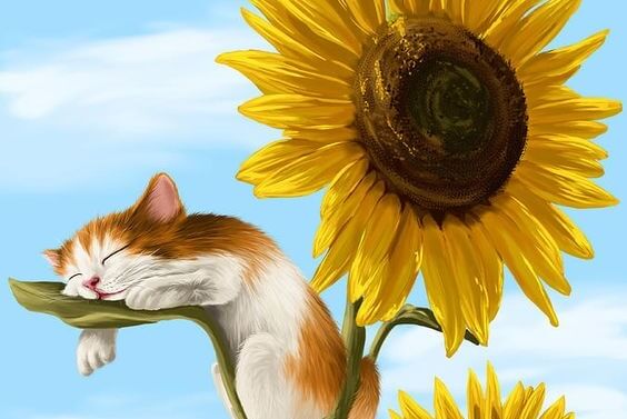 sunflowers kitten
