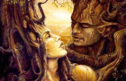dormant love tree