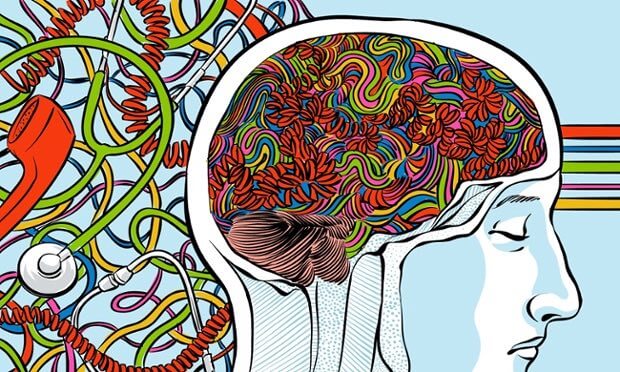 brain and vagus nerve