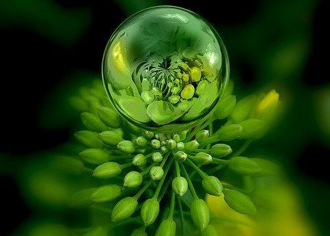 a bright green plant with a bubble