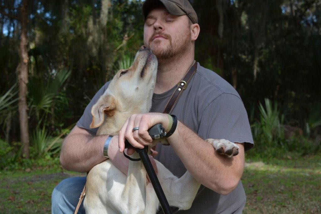 war veteran healing power in dogs