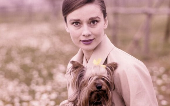 Audrey Hepburn