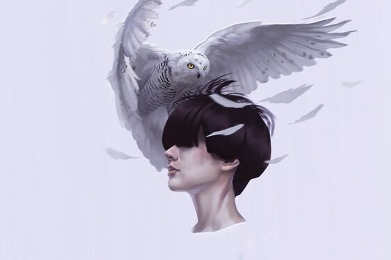 an owl representing difficulty versus a resilient personality