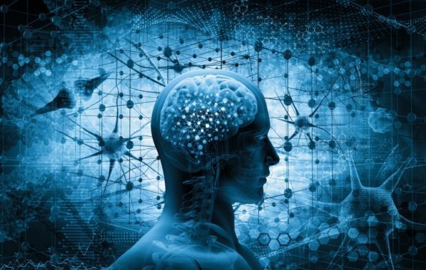 the inner workings of a brain